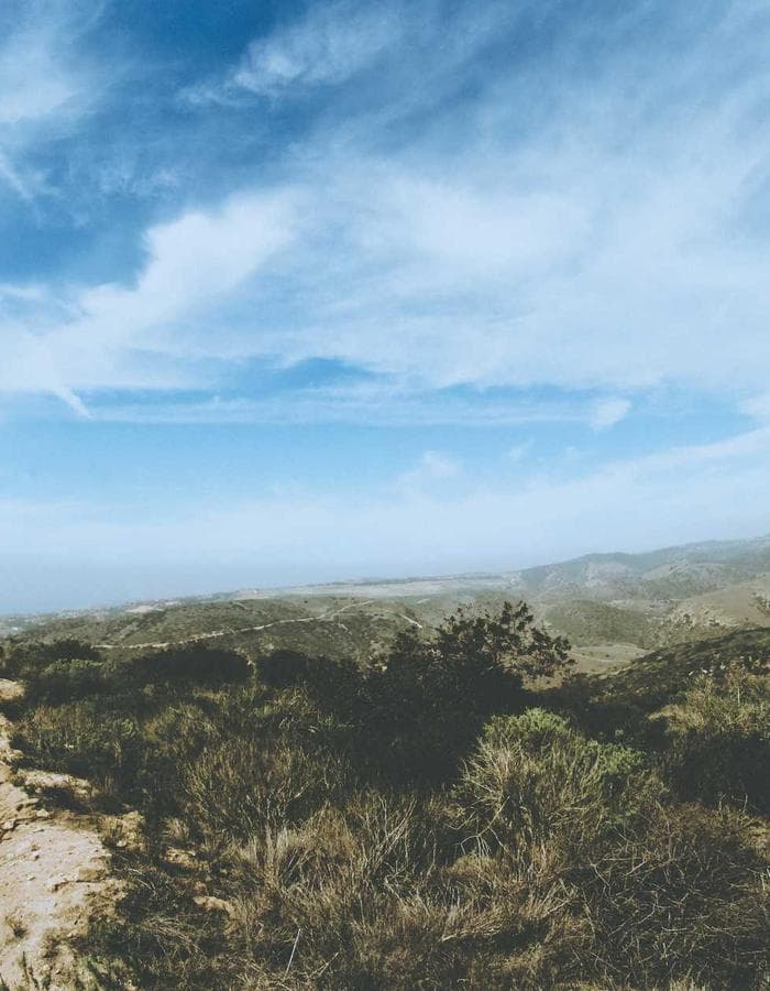 carpenter pants ︻デニー brown