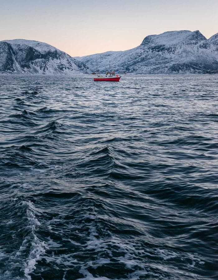 carpenter pants ︻デニー brown — view 2