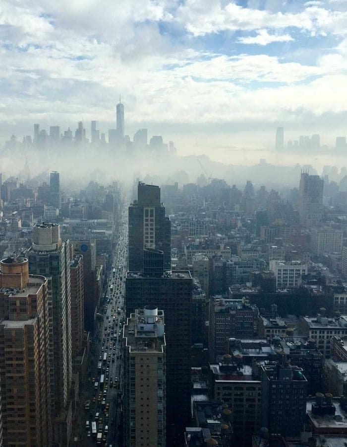 carpenter pants ︻デニー olivegreen