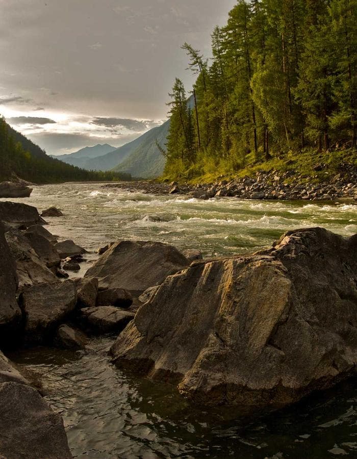 carpenter pants ︻デニー olivegreen — view 2