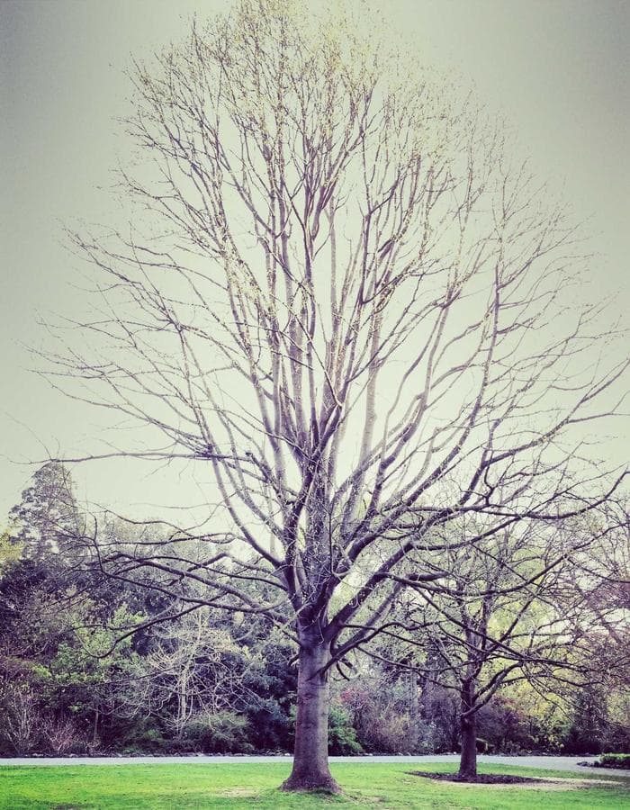 phantom crewneck ︻デニー grey — view 3