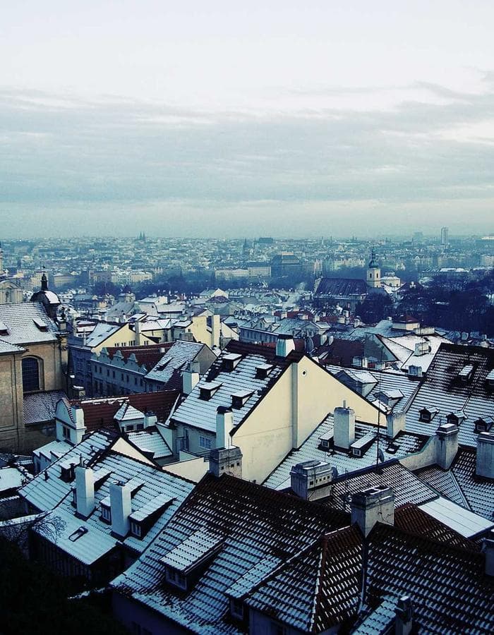 ripstop bag ︻デニー black&brown — view 2