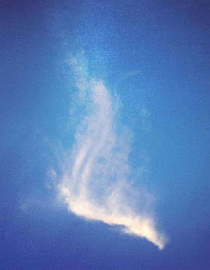 specter longsleeve ︻デニー black — view 2