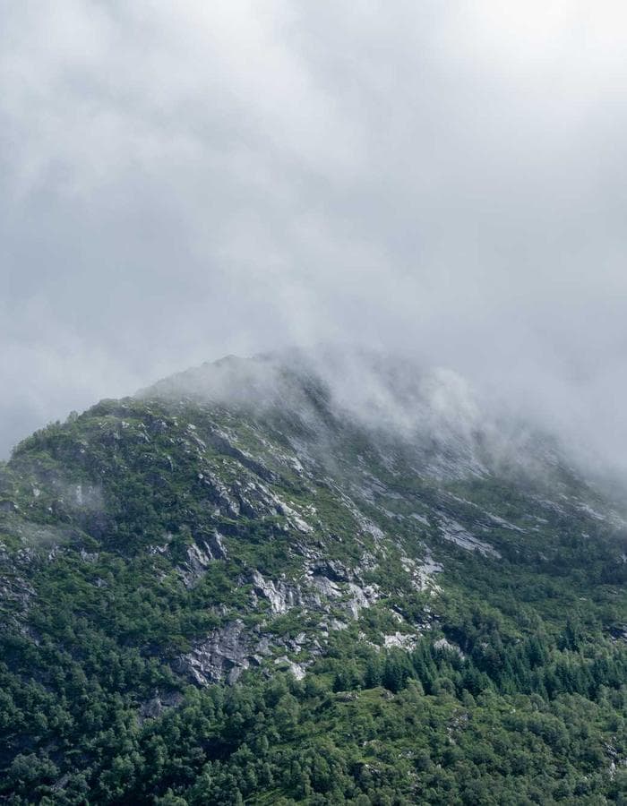 wraith hoodie ︻デニー black