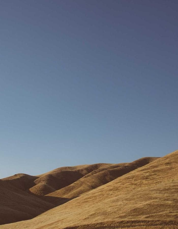 wraith hoodie ︻デニー black — view 2